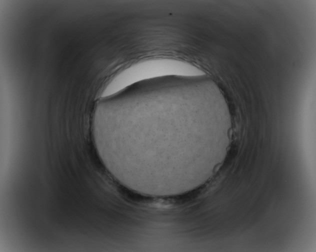 X0000083050656200703022112