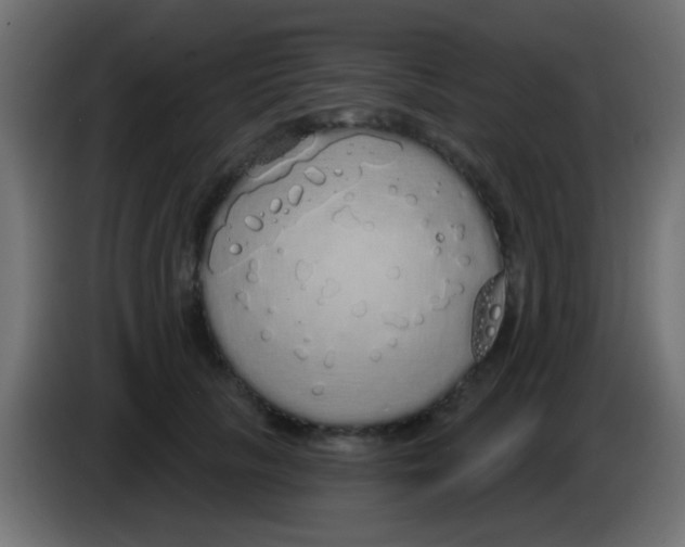 X0000083050657200703022112