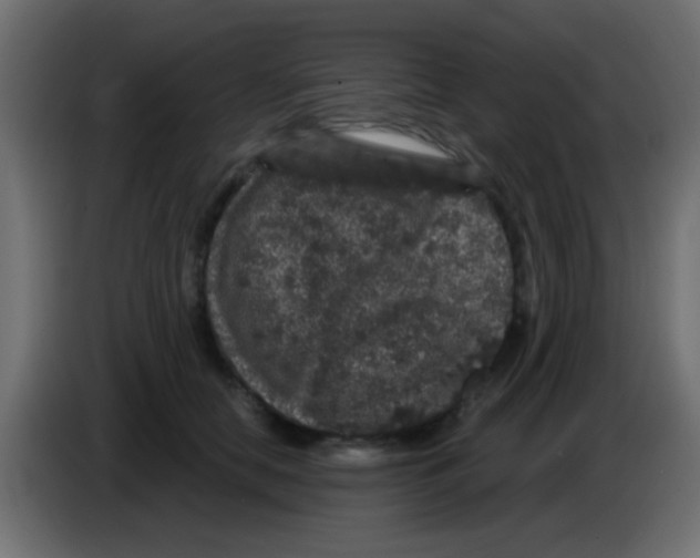 X0000083050658200703022112