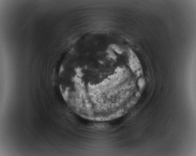 X0000083050659200703022112