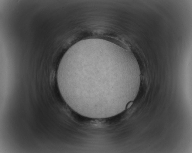 X0000083050660200703022112