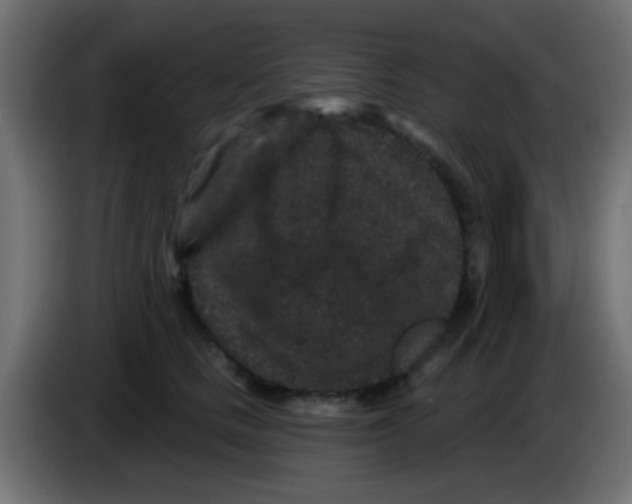 X0000083050661200703022112