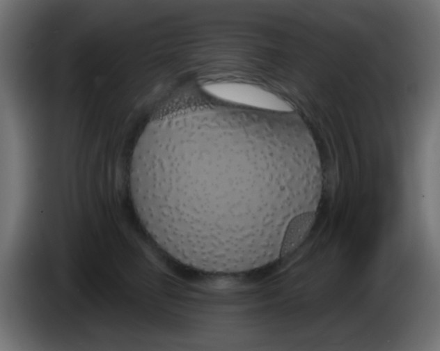 X0000083050662200703022112