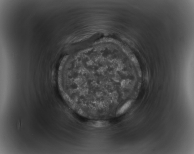 X0000083050663200703022112