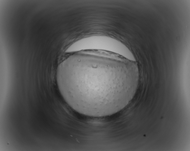 X0000083050664200703022112