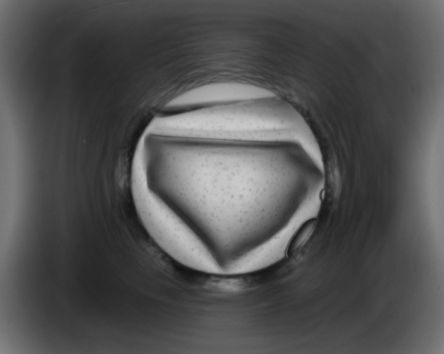 X0000083050665200703022112