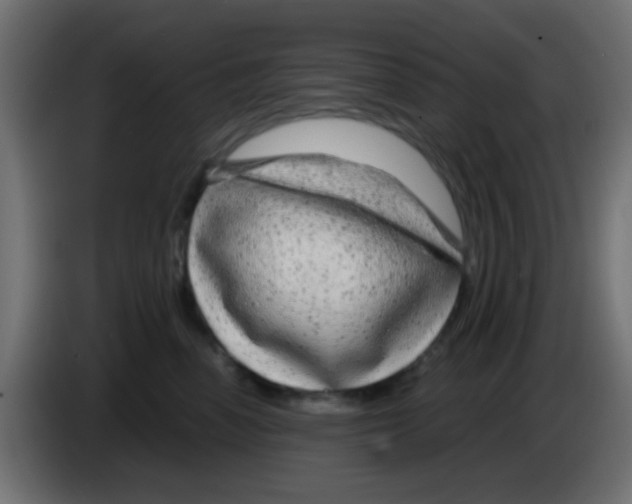 X0000083050666200703022112