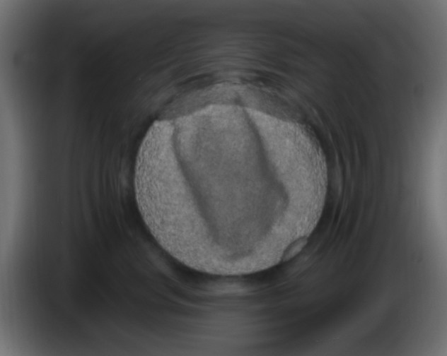 X0000083050668200703022112