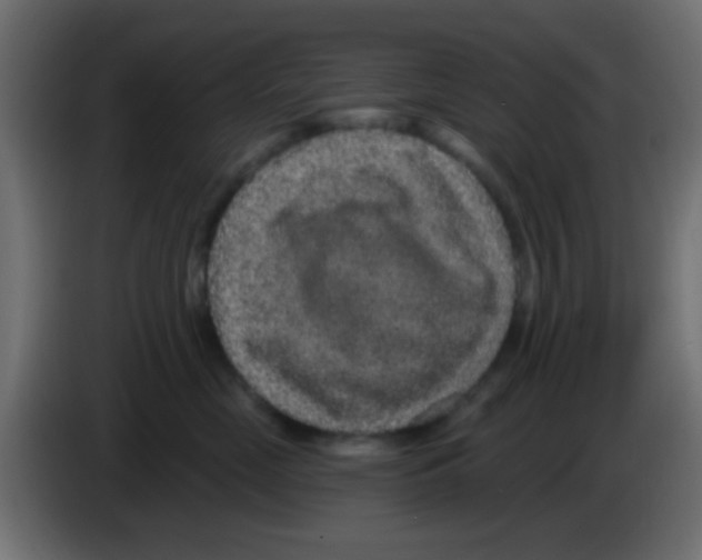 X0000083050669200703022112