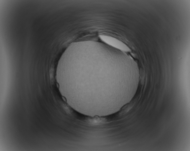 X0000083050670200703022112