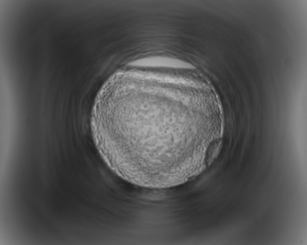 X0000083050671200703022112