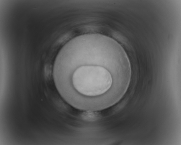 X0000083050672200703022112