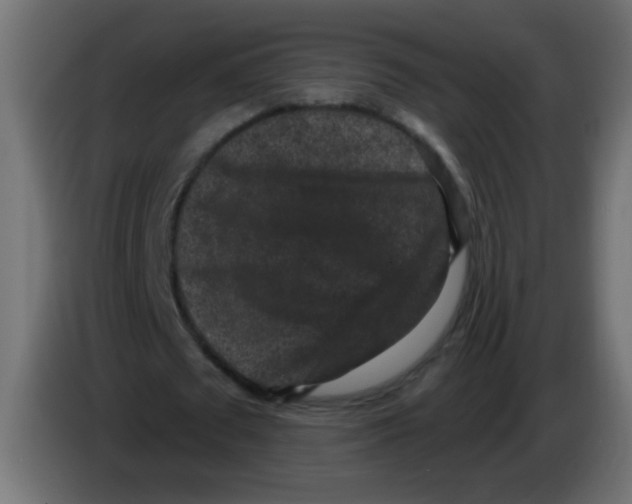 X0000083050673200703022111