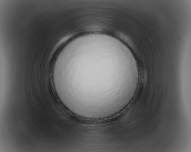 X0000083050675200703022111