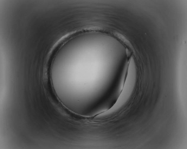 X0000083050676200703022111