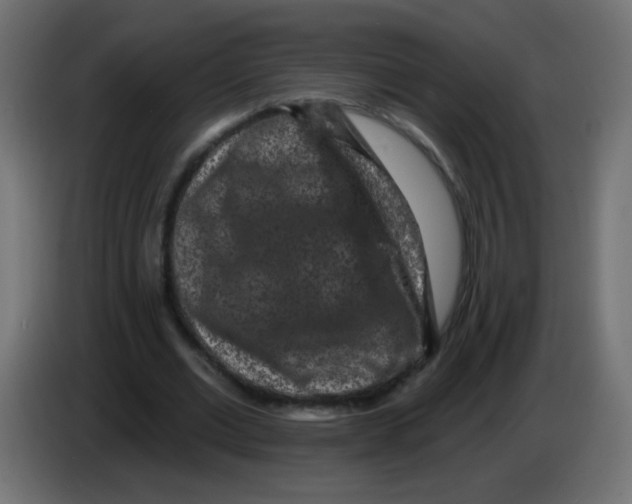 X0000083050677200703022111