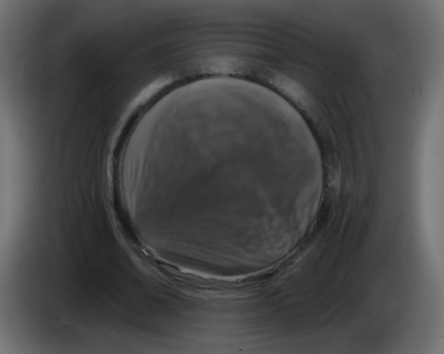 X0000083050678200703022111