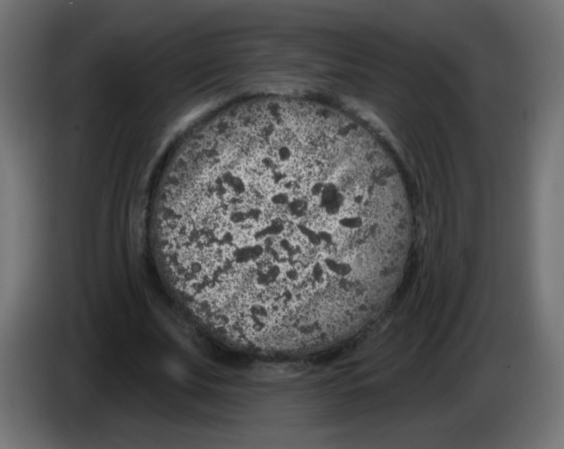 X0000083050679200703022111