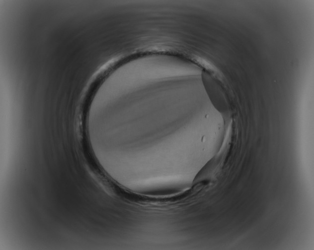 X0000083050680200703022111