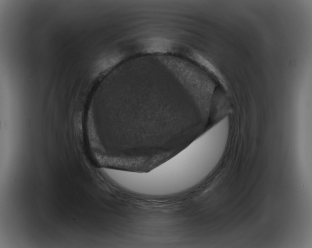 X0000083050681200703022111