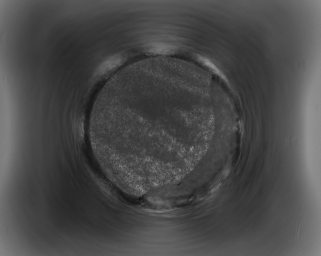 X0000083050685200703022111