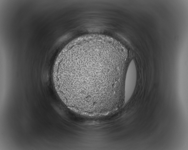 X0000083050687200703022111