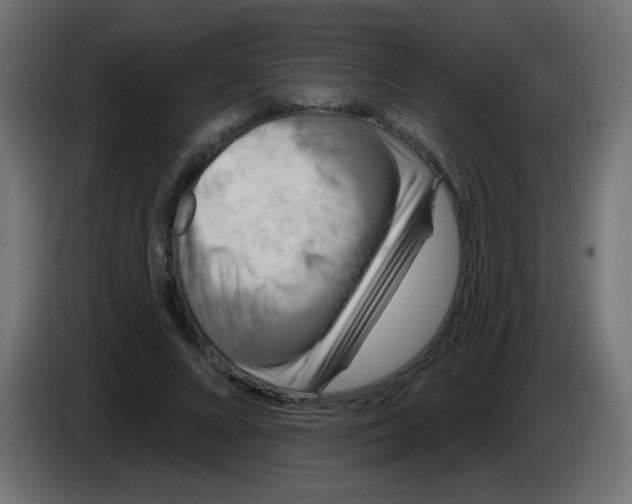 X0000083050688200703022111