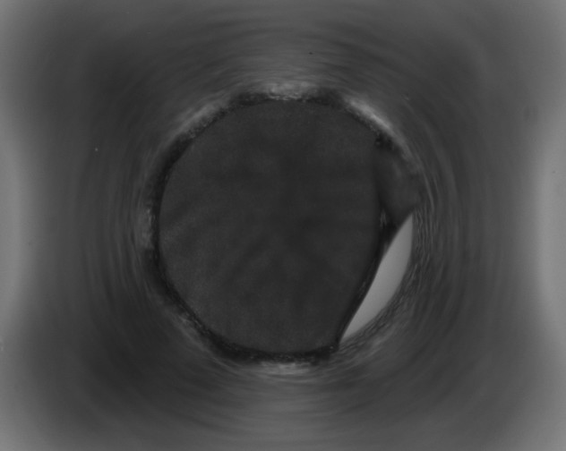 X0000083050689200703022111