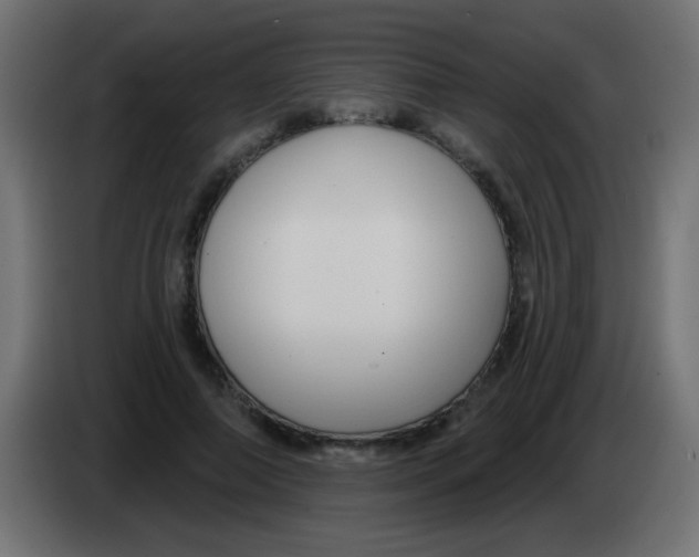 X0000083050690200703022111