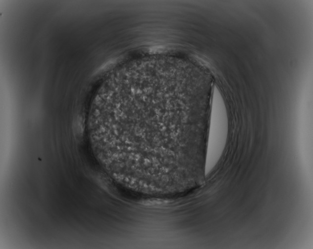 X0000083050691200703022111