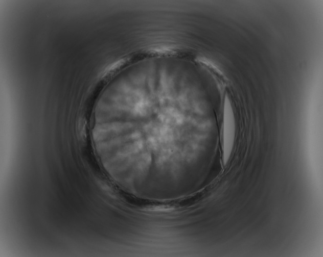 X0000083050692200703022111