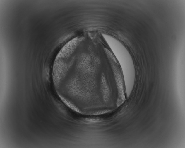 X0000083050693200703022111