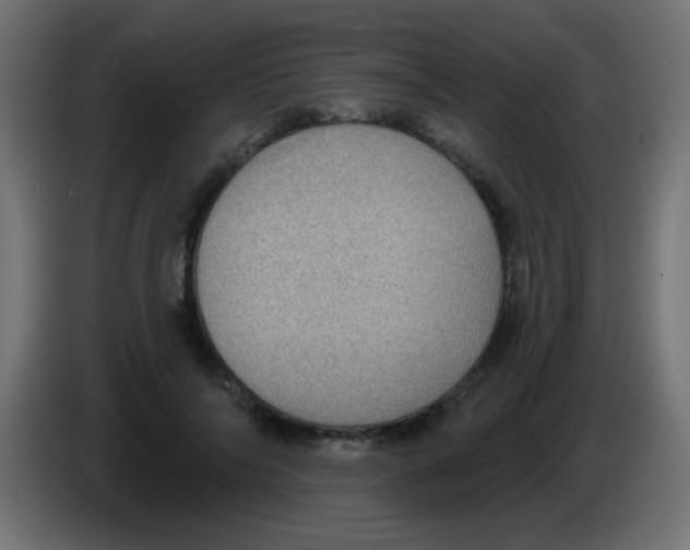 X0000083050694200703022111