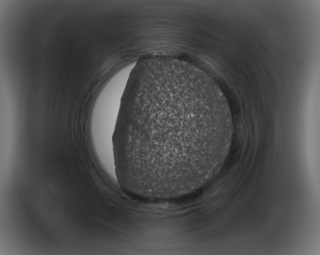 X0000083050695200703022111