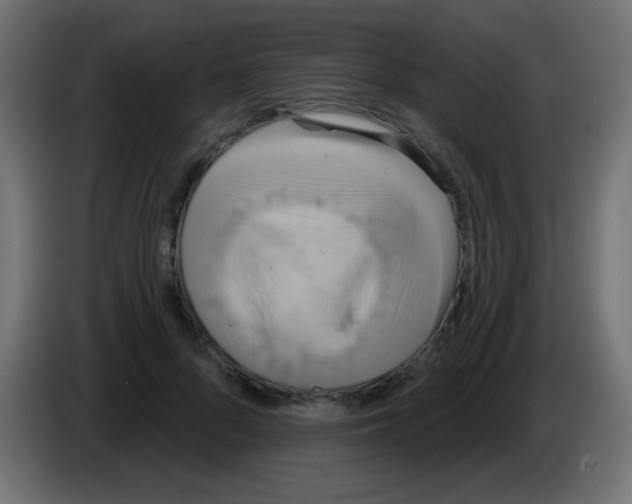 X0000083050696200703022111