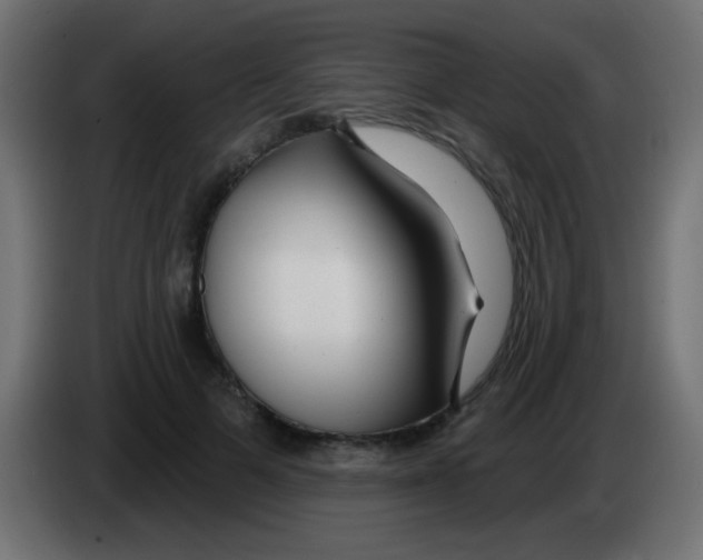 X0000083050697200703022111