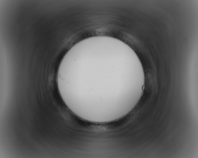 X0000083050698200703022111