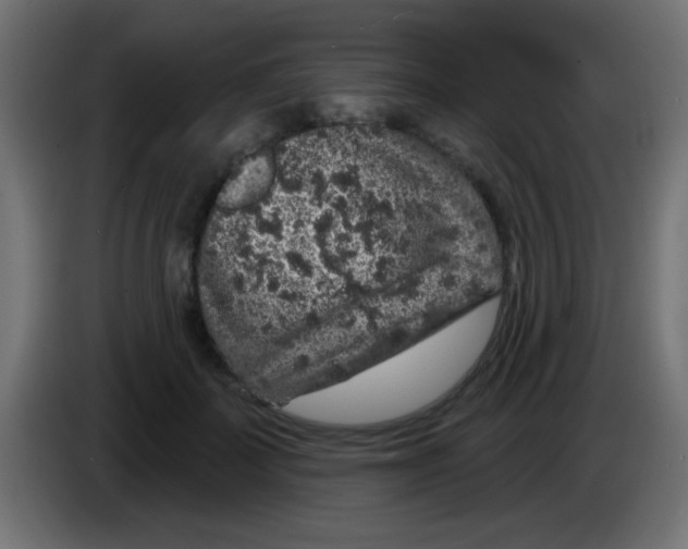 X0000083050699200703022111