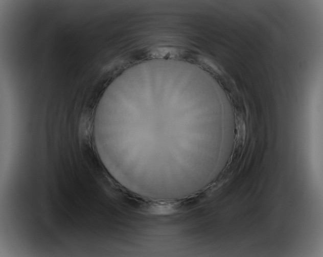 X0000083050701200703022111