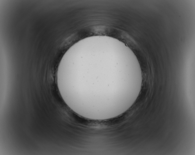 X0000083050702200703022111