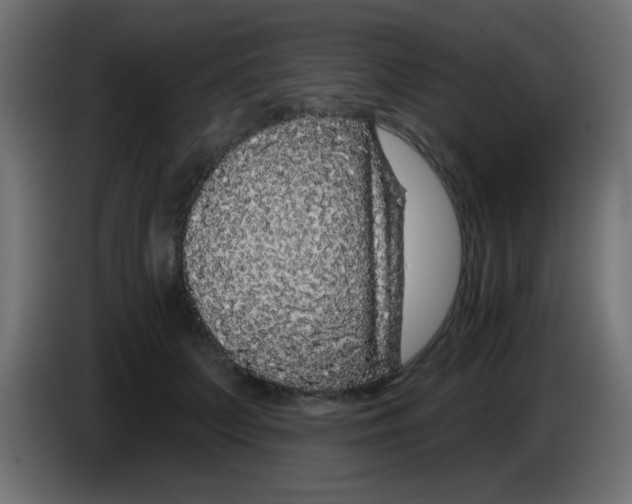 X0000083050703200703022111