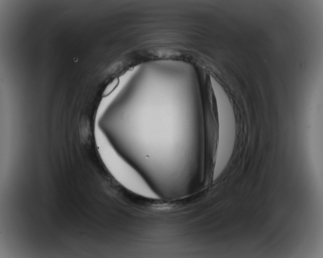 X0000083050704200703022111