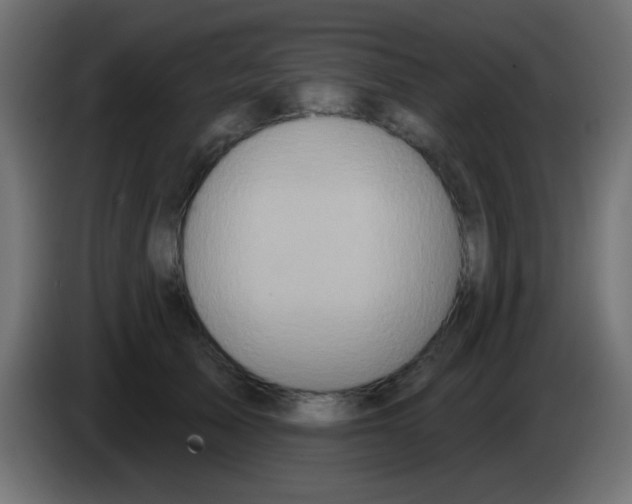 X0000083050705200703022111