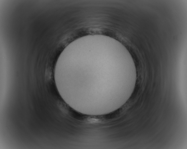 X0000083050706200703022111