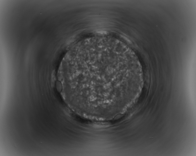 X0000083050707200703022111