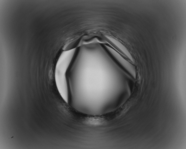 X0000083050708200703022111