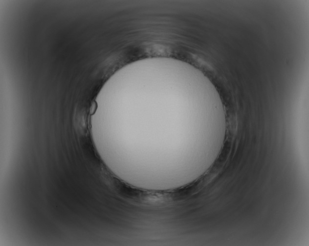 X0000083050709200703022111