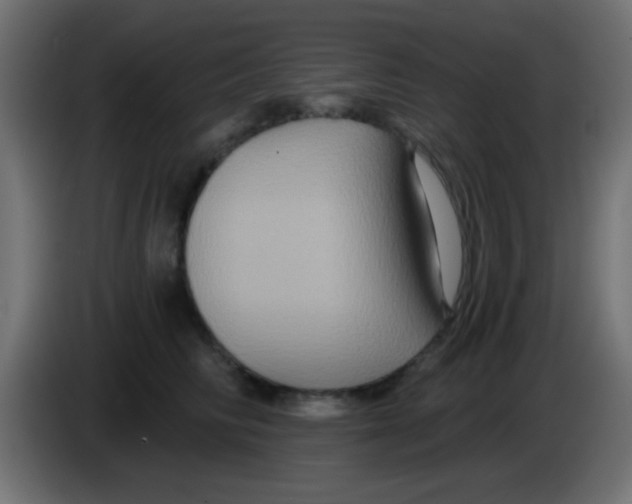 X0000083050710200703022111