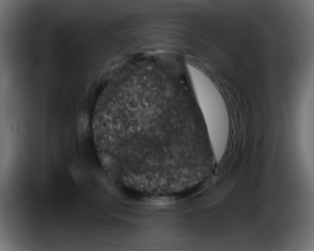 X0000083050711200703022111