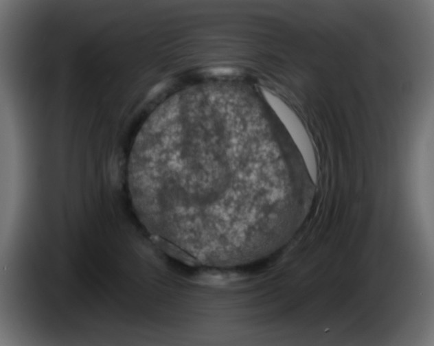 X0000083050712200703022111